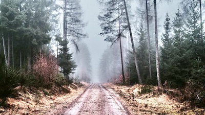 Land Covenants